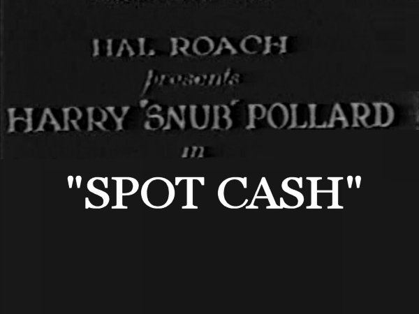 spot-cash-another-nice-mess