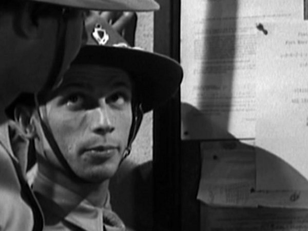 Unknown in Great Guns