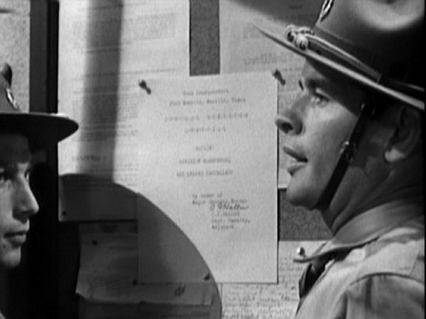 Unknown in Great Guns