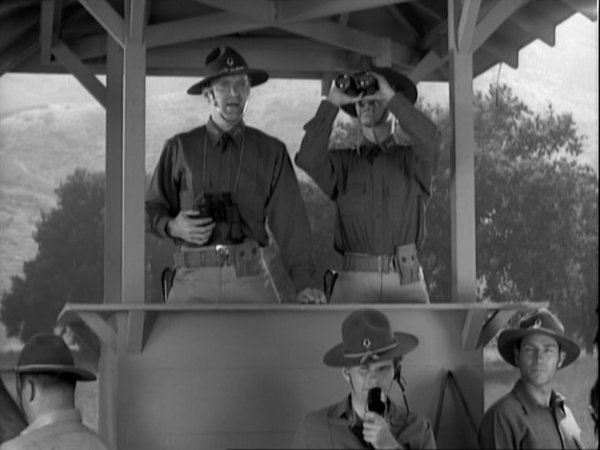 Unknown in Great Guns